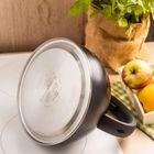 Klausberg, czajnik z gwizdkiem, stalowy, 2,5l, KB-7911