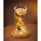 Lean Toys, wieczna róża w kopule, z oświetleniem LED