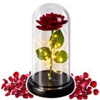Lean Toys, wieczna róża w kopule z oświetleniem LED, czerwona, 21-11 cm