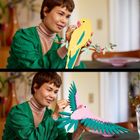 LEGO Art, Kolekcja zwierząt - papugi ary, 31211
