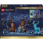 LEGO Harry Potter, Zakazany Las: Expecto Patronum, 76475
