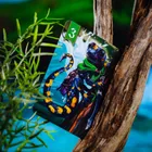 Muduko, Spór o bór 2: Na tamę marsz, karciana gra strategiczna dla 2 osób