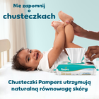 Pampers, Premium Care, pieluchy jednorazowe, rozmiar 3, 6-10kg, 180 szt.