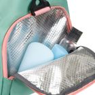 Peterson, torba podróżna, miętowo-różowa