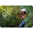 Plonos, tunel ogrodowy, 3-6m, 18m2, biały