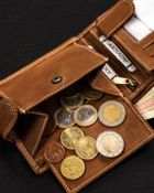 Portfel, brązowy, skórzany, Always Wild