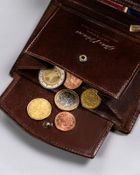 Portfel, brązowy, skórzany, Peterson