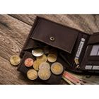 Portfel, brązowy, skórzany, RFID, Always Wild