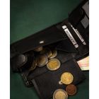 Portfel, czarny, skórzany, RFID, Rovicky