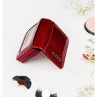 Portfel, czerwony, skórzany, Lorenti