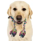 Purlov, zestaw zabawek dla psa, 16w1