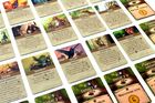 Rebel, Everdell: Święto Lata, dodatek do gry