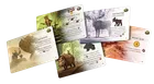 Rebel, Everdell: Zimowy szczyt (edycja kolekcjonerska), gra strategiczna
