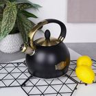 Vilde, czajnik z gwizdkiem, stalowy, czarny, 3l