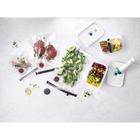 Zwilling, Fresh & Save, zestaw startowy, plastikowy, L