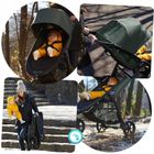 Baby Jogger, City Mini Gt2 2w1, wózek spacerowy z gondolą, opulent black