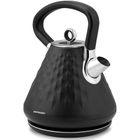 Berdsen, czajnik elektryczny, czarny, 1.7l, BD-700