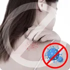 Berdsen, parownica do ubrań, 1600W, steamer, BD-311