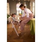 Chicco, Meraviglia, ewolucyjne krzesełko do karmienia, fossil