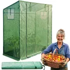 Edenia, Tevo, szklarnia foliowa, 77-200 cm