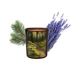 EkoDetale, Mood Stories, świeca sojowa w szkle, Golden Hour Forest Walk, 60g