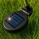 Gardlov, lampa solarna, róża