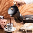 Kinghoff, kawiarka, zaparzacz do kawy, indukcja, 450 ml, kh-1887