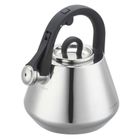 Klausberg, czajnik stalowy z gwizdkiem, 2,5l, kb-7947