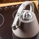 Klausberg, czajnik stalowy z gwizdkiem, szary, 2,5l, kb-7949