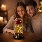 Lean Toys, wieczna róża w kopule z oświetleniem LED, czerwona, 21-11 cm