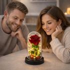 Lean Toys, wieczna róża w kopule, z oświetleniem LED, czerwona, 21-11 cm