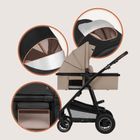 Lionelo, Amber Plus, wózek wielofunkcyjny z fotelikiem, 3w1, Beige Sand