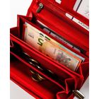 Portfel, czerwony, skórzany, Rovicky