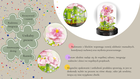 QBI, Peonie, klocki konstrukcyjne, 543 elementów