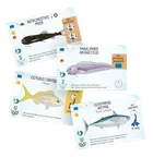 Rebel, Na dnie morza, gra strategiczna