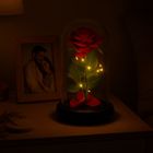 Ruhhy, róża w szkle, świecąca