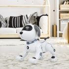 Tech-Bot, Pies, interaktywny robot pies zdalnie sterowany