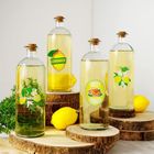 Vilde, butelka szklana na lemoniadę, z korkiem, 1 l