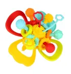 Bam Bam, kula sensoryczna, kwiatuszek