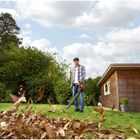 Black&Decker, odkurzacz do liści, 3000W, BEBLV300-QS