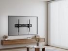 Gembird, uchwyt ścienny do telewizora, 43"-100"