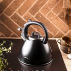 Klausberg, czajnik stalowy z gwizdkiem, 2,5l, kb-7952