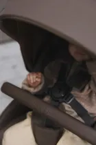 Lionelo, Mika Plus, wózek spacerowy, mocha mousse