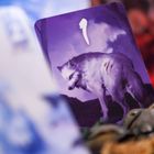 Muduko, Samotne Wilki, Pojedynek, gra karciana