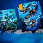 Muduko, Spór o bór 2: Na tamę marsz, karciana gra strategiczna dla 2 osób