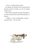 Operacja Rupieciarz. Biuro detektywistyczne nr 2