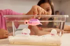 Pets Alive, Mama Turtle & Baby Surprise, mama żółw i małe żółwiki, zabawka interaktywna