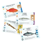 Rebel, Na dnie morza, gra strategiczna