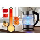 Berdsen, czajnik elektryczny, szklany z regulacją temperatury, 1,7l, 2200W, BD-714