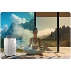 Berdsen, klimatyzator przenośny, 14000 BTU, BD-581